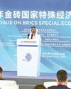UAE showcases its strategic role in expanding economic zones46