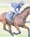 Dance To The Music back on familiar beat in Gı Fillies' Mile Gulf Today