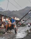UAE sends aid to hurricane-hit countries UAE sends aid to hurricane-hit countries14