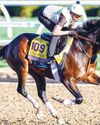 Sierra Leone chases rare repeat in Breeders' Cup Classic at Del Mar Sierra Leone chases rare repeat in Breeders' Cup Classic at Del Mar74