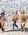 Taliban anger over no invitation to COP3024