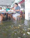 'Flooded restaurant' brings delight to diners 'Flooded restaurant' brings delight to diners21