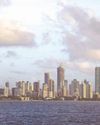 India's REIT market achieves landmark milestone in 2025 India's REIT market achieves landmark milestone in 202555