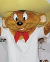 The 'Speedy Gonzales' film once again is back on track41