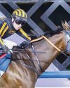 Seemar's Drew's Gold sparkles in Meydan meet Seemar's Drew's Gold sparkles in Meydan meet63