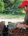 Colombian women challenge coffee industry patriarchy Colombian women challenge coffee industry patriarchy30