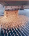 Soya firms to abandon Amazon protection agreement in Brazil44