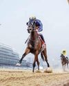 Dark Saffron, Audience launch New Year at Meydan56