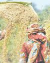 FAO wants recognition for Pak women farmers31