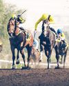 Al Wasl Club Cup, Daaeemm Incentive Stakes headline Jebel Ali's sixth meeting58