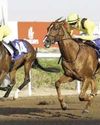 Jebel Ali set for exciting Mile Prep Stakes showdown59