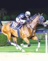 11 global Gı stars to collide in Meydan meet 11 global Gı stars to collide in Meydan meet46