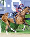 Imperial Emperor fuels Dubai World Cup dreams as Seemar saddles four winners59