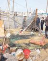 Israel accepts death toll of 70,000 in Gaza Israel accepts death toll of 70,000 in Gaza15