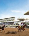 Seemar, Ghadayer jostle for honours at Jebel Ali Racecourse's 8th meeting Seemar, Ghadayer jostle for honours at Jebel Ali Racecourse's 8th meeting58