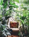 Create a calming nature nook at home with tips from plant stylist Hilton Carter Create a calming nature nook at home with tips from plant stylist Hilton Carter55