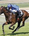 Aomori City sets sights on Gold Cup in capital62