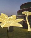 Festival displays 1,500 illuminated flowers Festival displays 1,500 illuminated flowers7