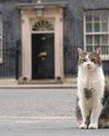 Larry marks 15 years at 10 Downing Street Larry marks 15 years at 10 Downing Street12