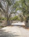 Fujairah's Qidfa Village earns FAO recognition13