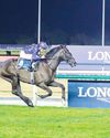 Rebel's Romance and Tuz headline Emirates Super Saturday at Meydan64