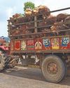 India's February palm oil imports jump 10%56