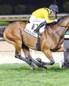 Elnajmm conquers G2 Al Fahidi Fort, double delight for Mheiri and Mullen61