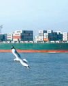 India to curb opaque shipping surcharges43
