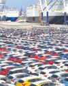 China's exports turbocharge into 2026 after record-breaking year52