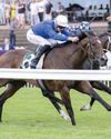 Cinsault targets Coolmore Classic success Cinsault targets Coolmore Classic success60