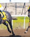 Keeneland and Tattersalls Cups in spotlight at JARC's season finale Keeneland and Tattersalls Cups in spotlight at JARC's season finale68