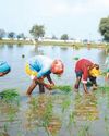 India to boost farmers' incomes, says minister48