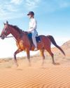 Mleiha National Park, an ideal hotspot for Eid holidays8