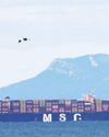 African bunkering hubs gain as ships reroute around the Cape43