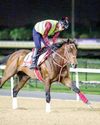 Forever Young the headline act as Yahagi and Sakai return to Meydan Racecourse55