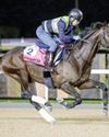 Godolphin's Pyromancer, Go Man headline Group 2 UAE Derby55