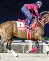 Favourite Forever Young draws gate 6 for $12 million Dubai WC69