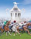 UAE unveils historic 2026 global calendar for President's Cup for Arabian Horses54