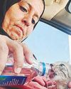 Sharjah woman rescues stray cat from sizzling heat Sharjah woman rescues stray cat from sizzling heat3