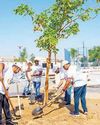 Aster Volunteers plant 67 trees, recycle 1,043kg of e-waste Aster Volunteers plant 67 trees, recycle 1,043kg of e-waste7