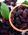 Mulberry Blessed Mulberry Blessed