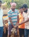 మూగజీవాలకు నులిపురుగుల మందు పంపిణీ24