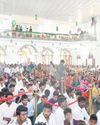 క్రిస్మస్ సంబరం4