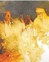 వణికిసున్న చలి11