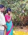 మద్ది మేడారం జాతర పనులు ప్రారంభం14