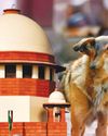 AADAB HYDERABAD