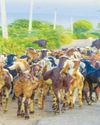 AADAB HYDERABAD