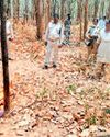 झारखंड से पहुंचे दंतैल ने महुआ बीन रही महिला की कुचलकर ली जान झारखंड से पहुंचे दंतैल ने महुआ बीन रही महिला की कुचलकर ली जान