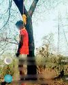 दुर्ग के नाबालिग खिलाड़ी ने जंगल में लगाई लाइव फांसी दुर्ग के नाबालिग खिलाड़ी ने जंगल में लगाई लाइव फांसी