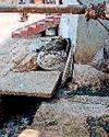 6 वार्ड... 40 हजार लोग पी रहे जहरीला पानी 6 वार्ड... 40 हजार लोग पी रहे जहरीला पानी